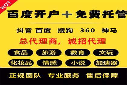 SEM代运营案例分析：精准投放策略解析